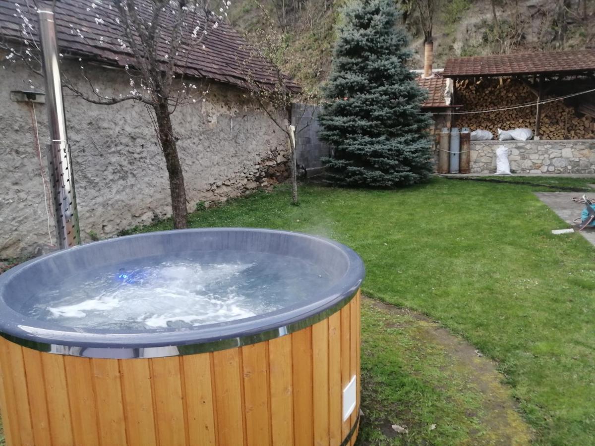 הוילה Casa Sasca Montană מראה חיצוני תמונה